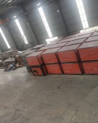 QQ图片20220820164442